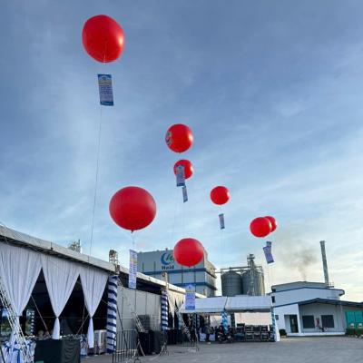 Khinh khí cầu 2m5